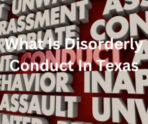 Read more about the article What Is Disorderly Conduct In Texas